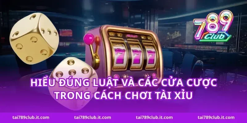 Hiểu đúng luật và các cửa cược trong cách chơi tài xỉu