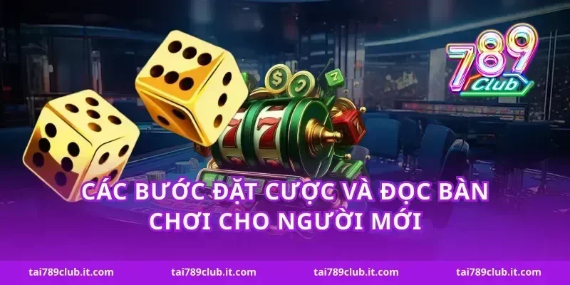 Các bước đặt cược và đọc bàn chơi cho người mới
