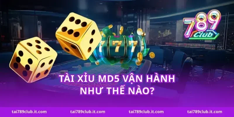 Tài xỉu MD5 vận hành như thế nào?