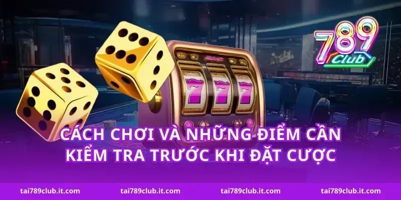 Cách chơi và những điểm cần kiểm tra trước khi đặt cược